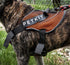 PETKIT ® 'AIR' Quad-Connecting Cushioned Chest Compression and Reflective Breathable Premium Safety Mesh Pet Dog Harness