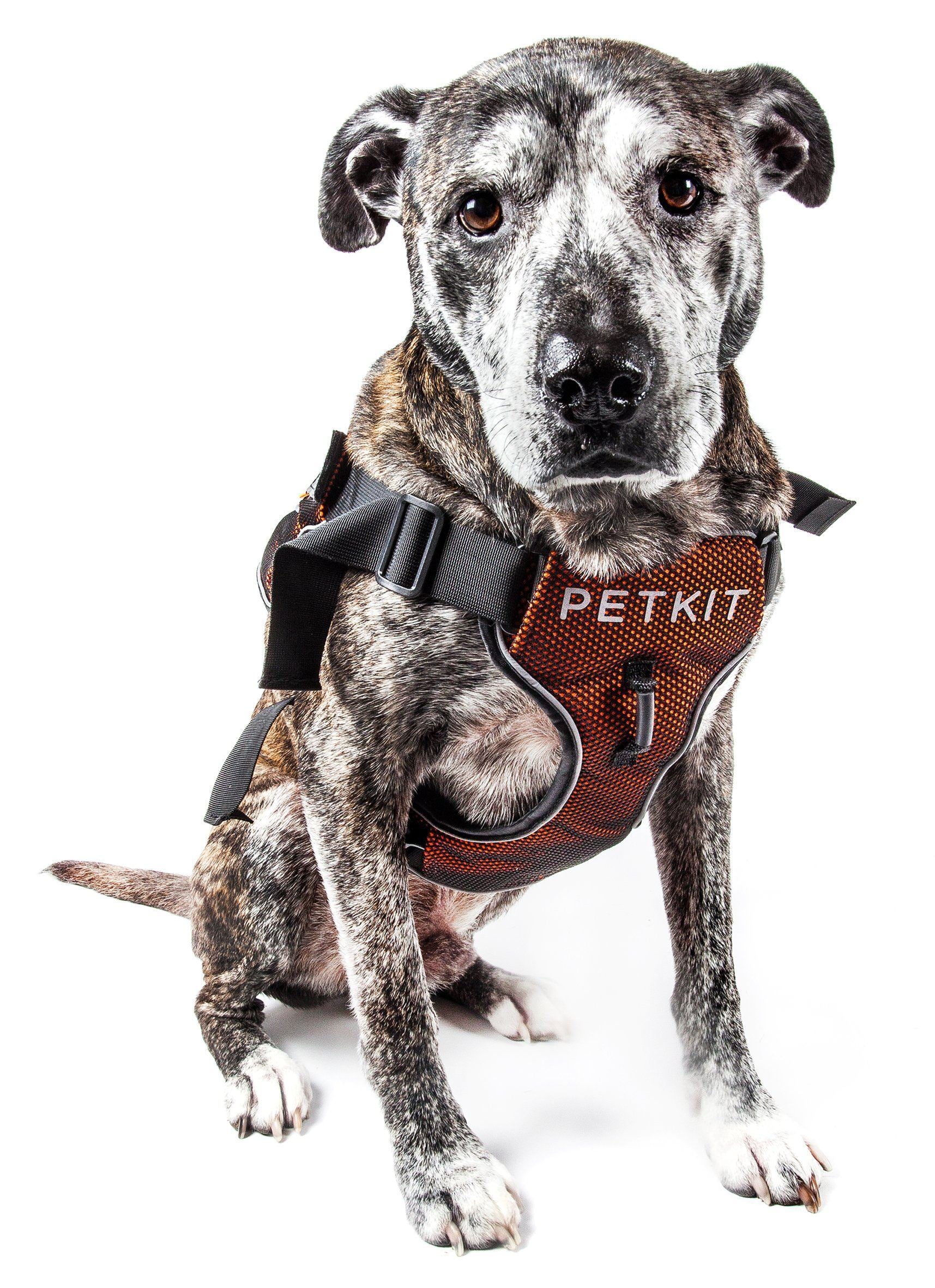 PETKIT ® 'AIR' Quad-Connecting Cushioned Chest Compression and Reflective Breathable Premium Safety Mesh Pet Dog Harness
