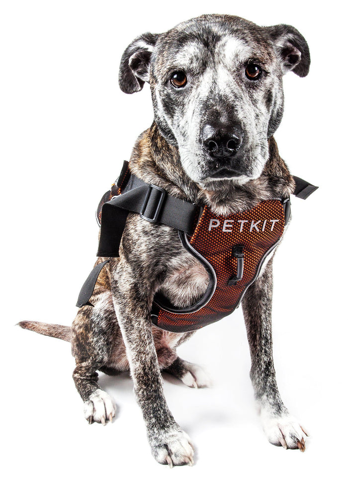 PETKIT ® 'AIR' Quad-Connecting Cushioned Chest Compression and Reflective Breathable Pr...