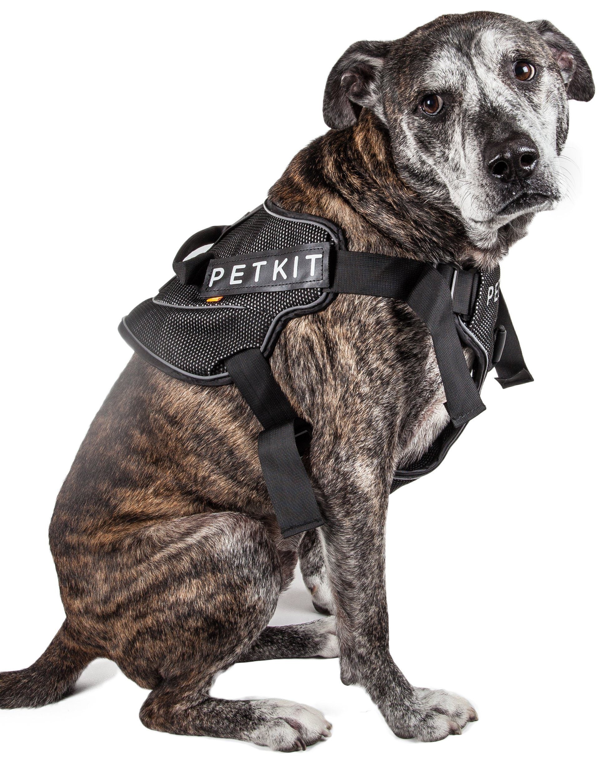 PETKIT ® 'AIR' Quad-Connecting Cushioned Chest Compression and Reflective Breathable Premium Safety Mesh Pet Dog Harness