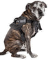 PETKIT ® 'AIR' Quad-Connecting Cushioned Chest Compression and Reflective Breathable Premium Safety Mesh Pet Dog Harness