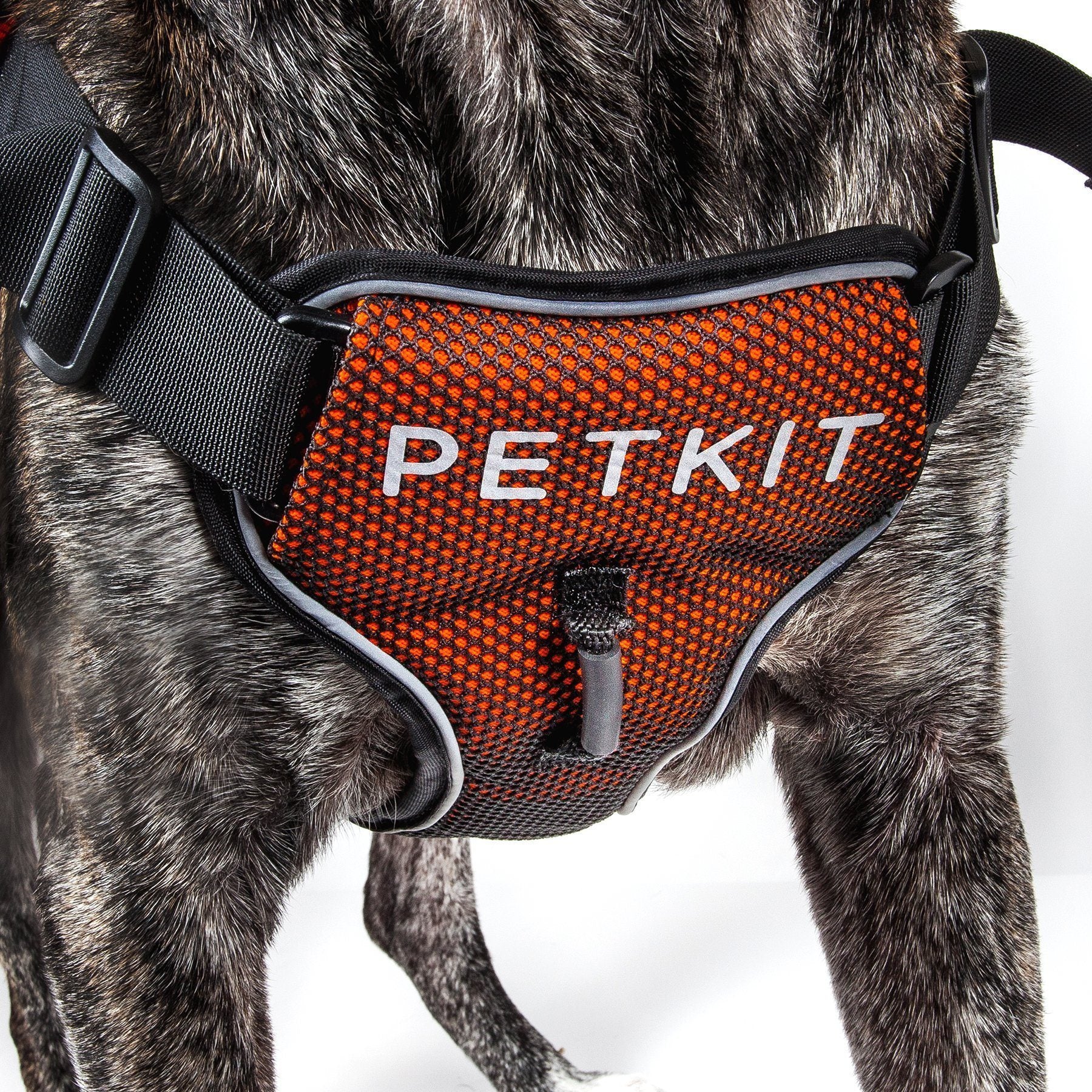 PETKIT ® 'AIR' Quad-Connecting Cushioned Chest Compression and Reflective Breathable Premium Safety Mesh Pet Dog Harness