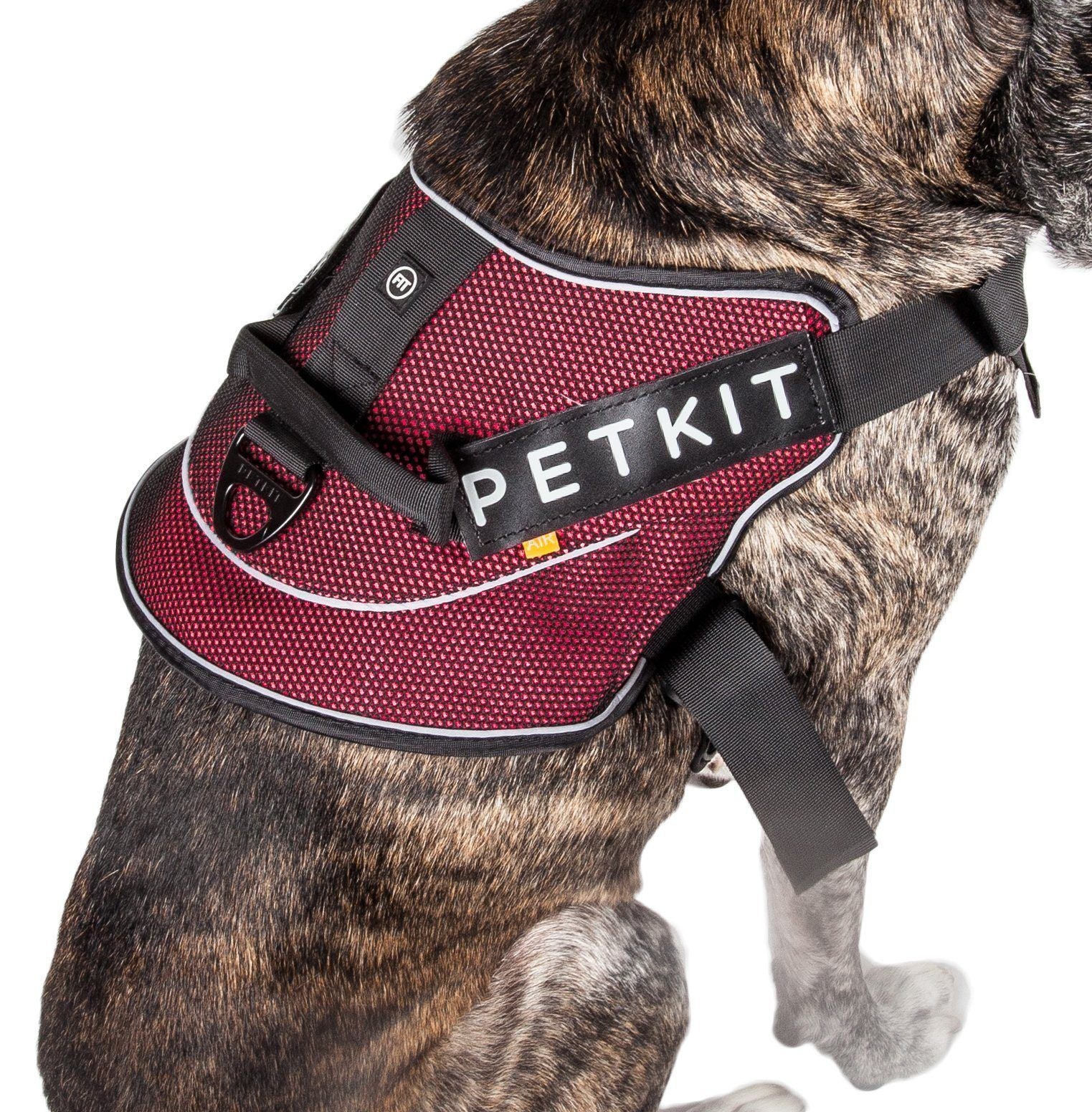 PETKIT ® 'AIR' Quad-Connecting Cushioned Chest Compression and Reflective Breathable Premium Safety Mesh Pet Dog Harness