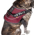 PETKIT ® 'AIR' Quad-Connecting Cushioned Chest Compression and Reflective Breathable Premium Safety Mesh Pet Dog Harness