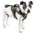 PETKIT ® 'AIR' Quad-Connecting Cushioned Chest Compression and Reflective Breathable Premium Safety Mesh Pet Dog Harness