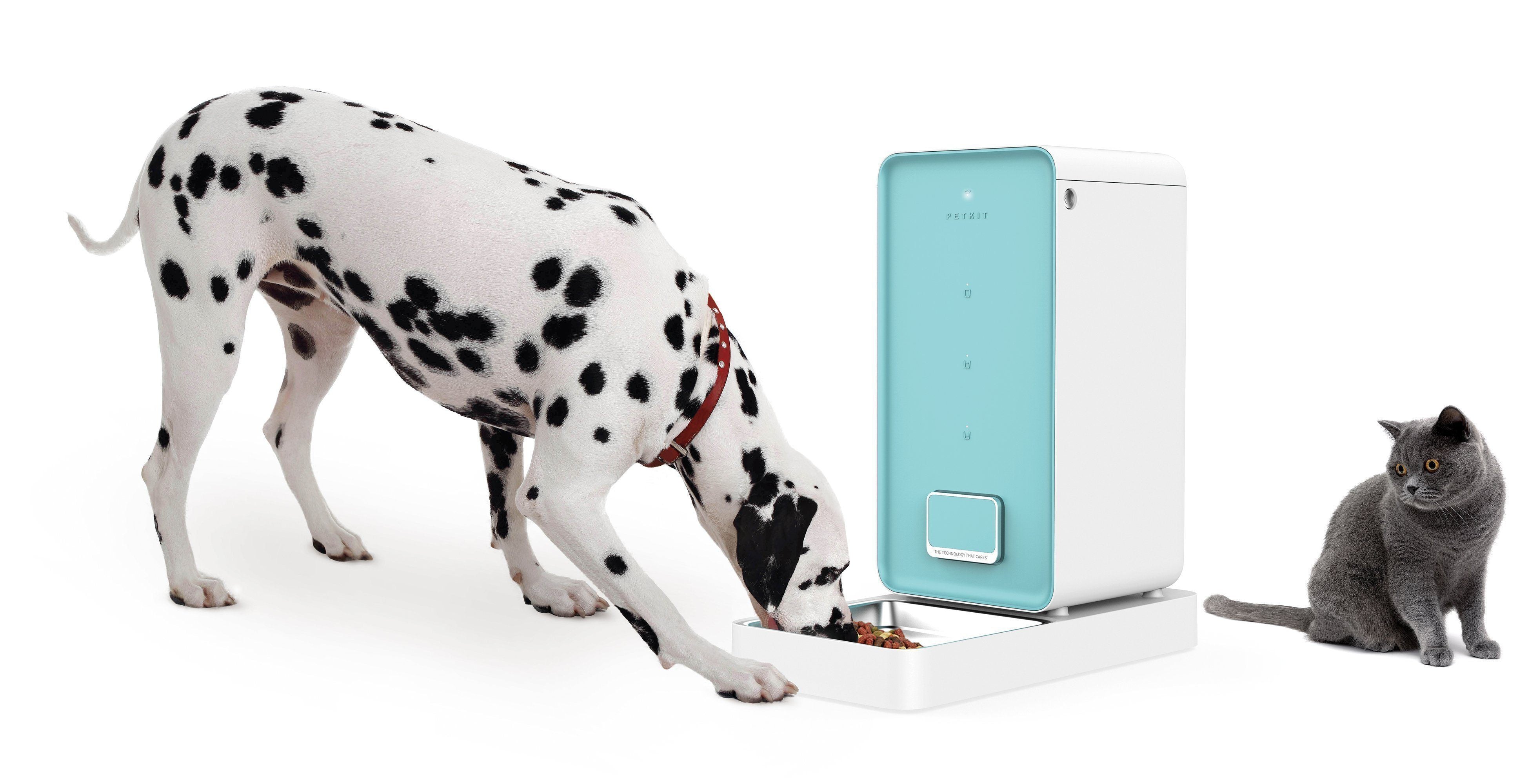 PETKIT ® 'Element' Wi-Fi Enabled Smart Pet Food Container Feeder