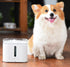 PETKIT ® 'EVERSWEET' Water Shortage Alerting and Filter Replacement Reminding Filtered Carbonated Smart Pet Dog Cat Fountain Waterer Feeder