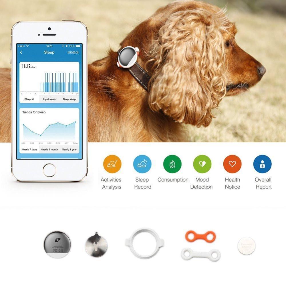 PETKIT ® 'FIT' Lightweight Water-resistant Smart Activity and Mood Monitoring Pet Dog Cat Activity Tracker Monitor