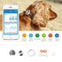 PETKIT ® 'FIT' Lightweight Water-resistant Smart Activity and Mood Monitoring Pet Dog Cat Activity Tracker Monitor