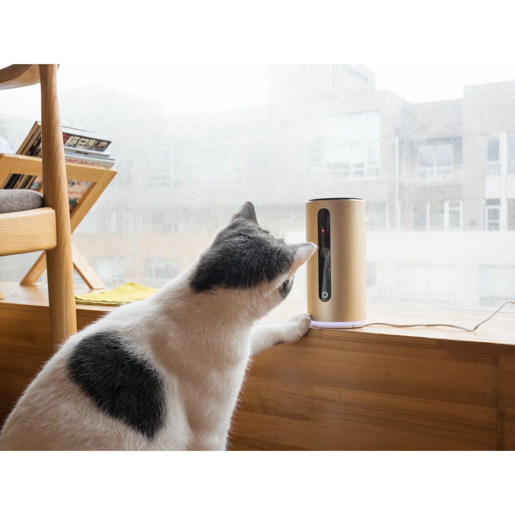 PETKIT ® 'MATE' WIFI Enabled Night Vision Smart Video Pet Cat Dog Monitor w/ Dual Communication Cababilities and 720HD Rotational Camera