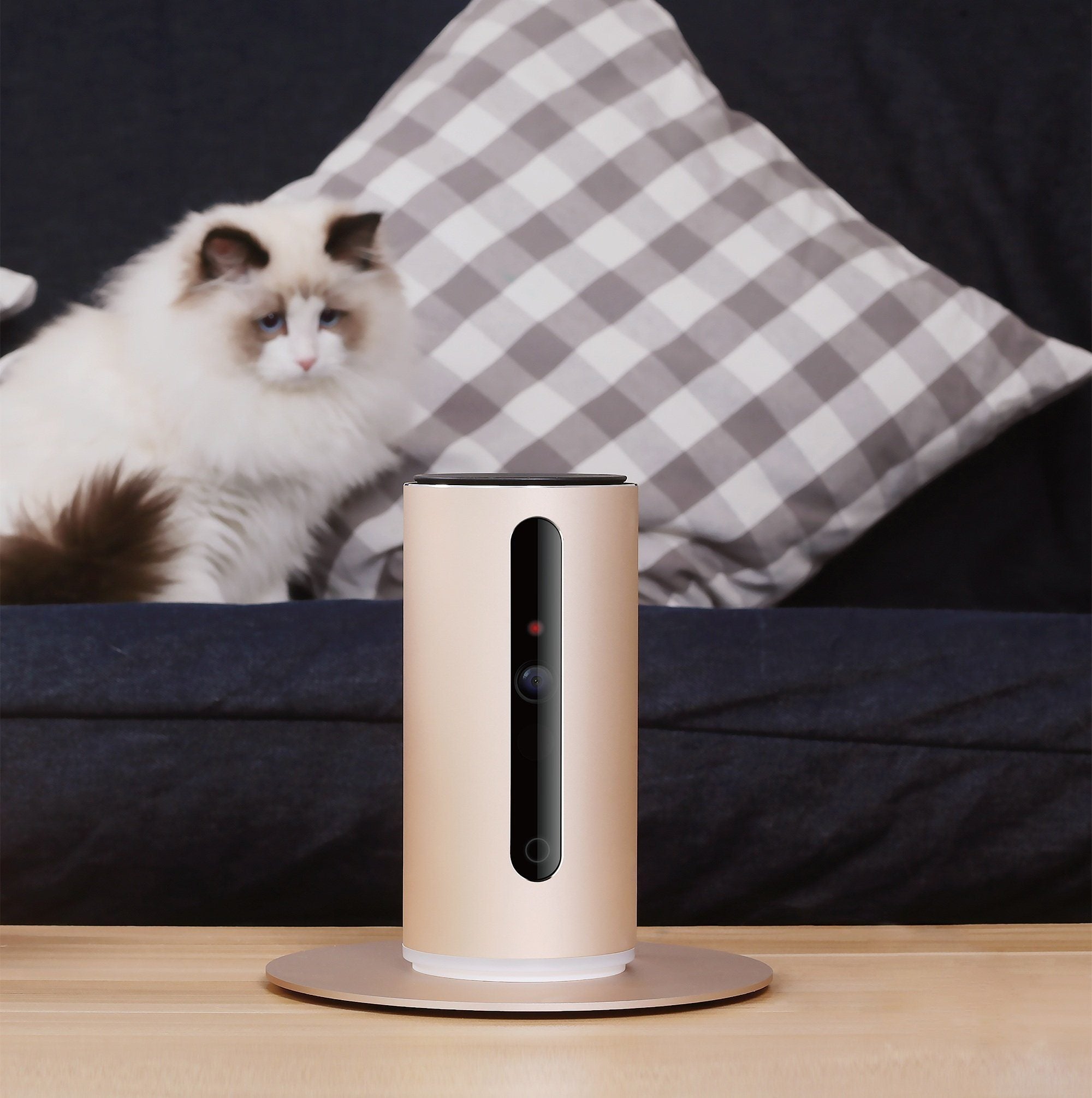 PETKIT ® 'MATE' WIFI Enabled Night Vision Smart Video Pet Cat Dog Monitor w/ Dual Communication Cababilities and 720HD Rotational Camera