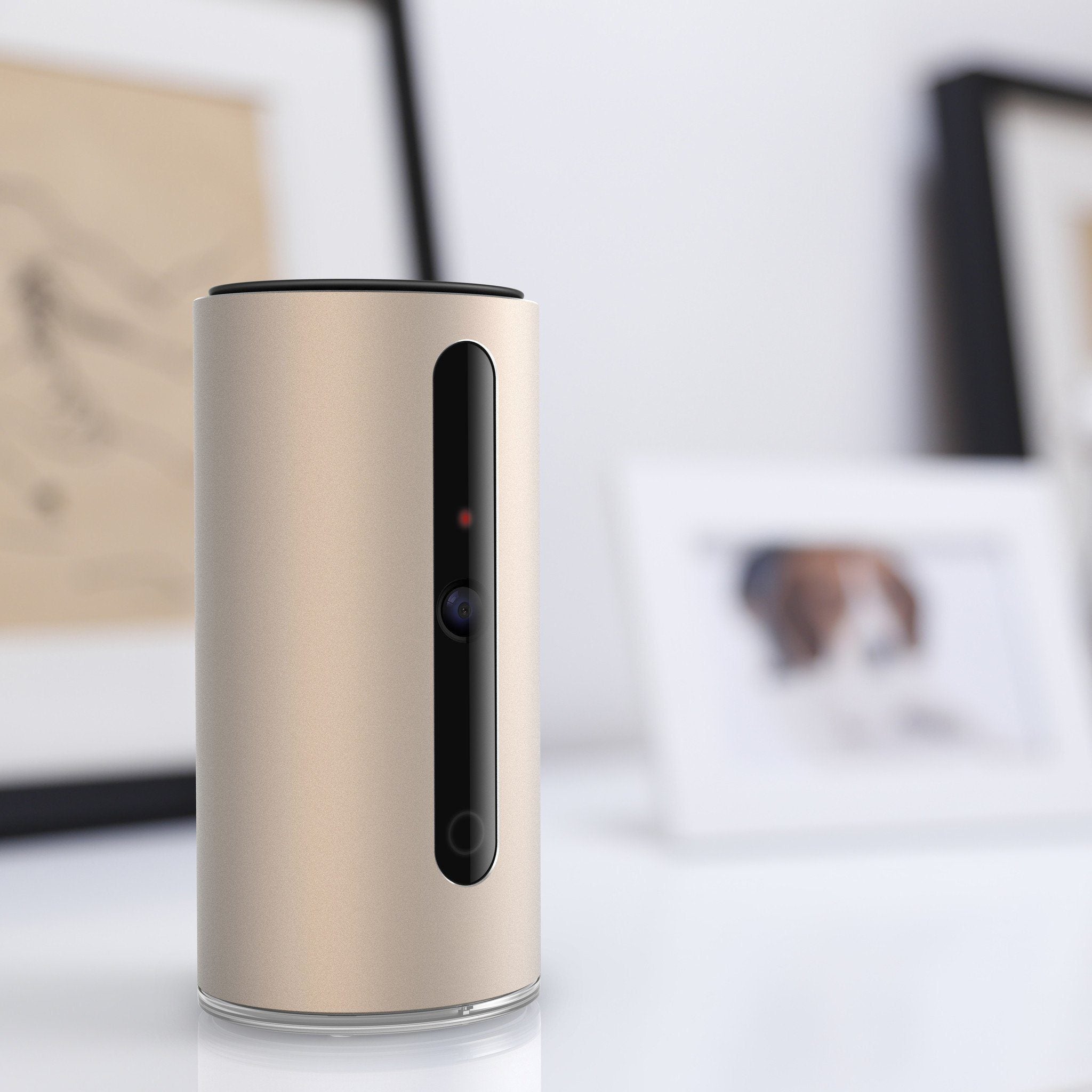 PETKIT ® 'MATE' WIFI Enabled Night Vision Smart Video Pet Cat Dog Monitor w/ Dual Communication Cababilities and 720HD Rotational Camera