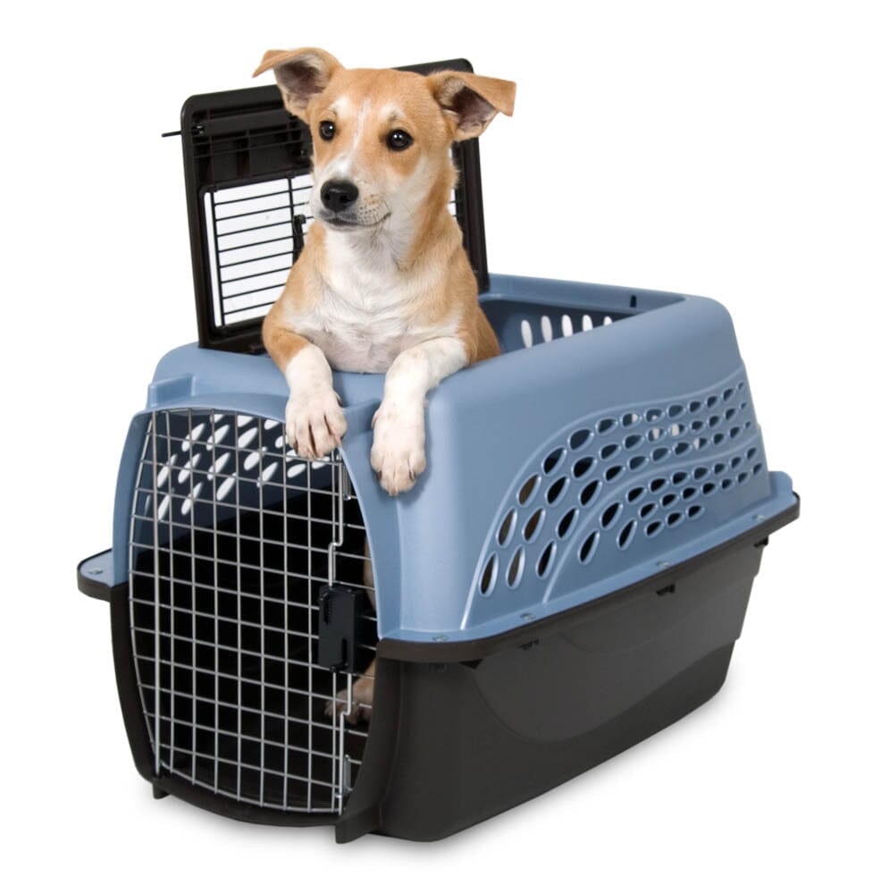 Petmate 2 Door Top Load Dog Kennel - Pearl Ash Blue, Black - 24 in