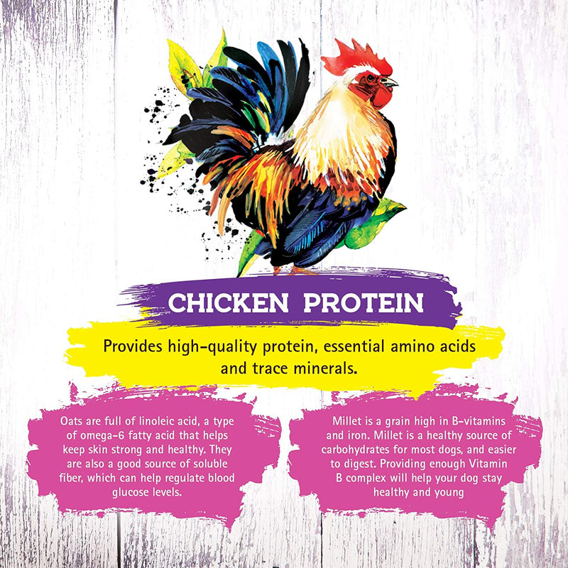 Pets Global Inception Cat Food Chicken Recipe Dry Cat Food 13.5 lb B