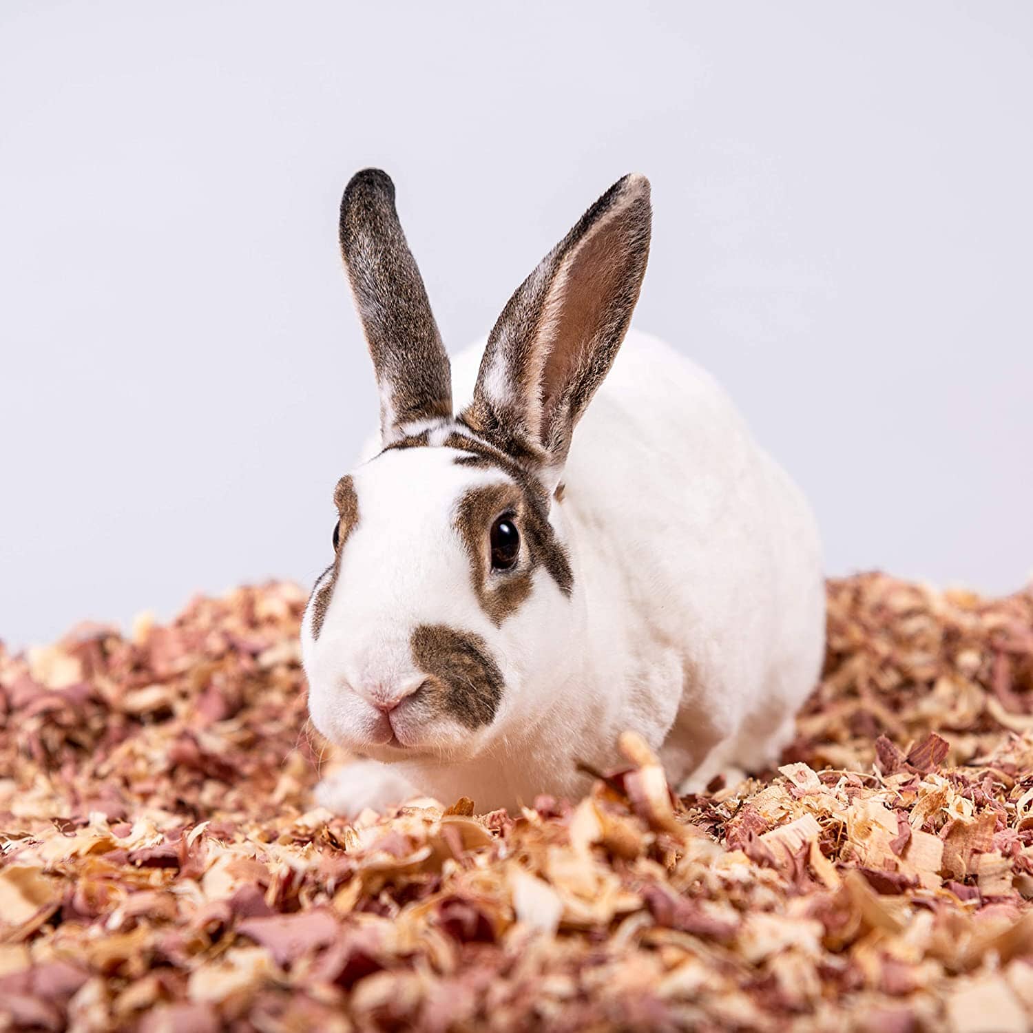 Pet's Pick Kiln Dried Red Cedar Bedding - Red Cedar - 24 L