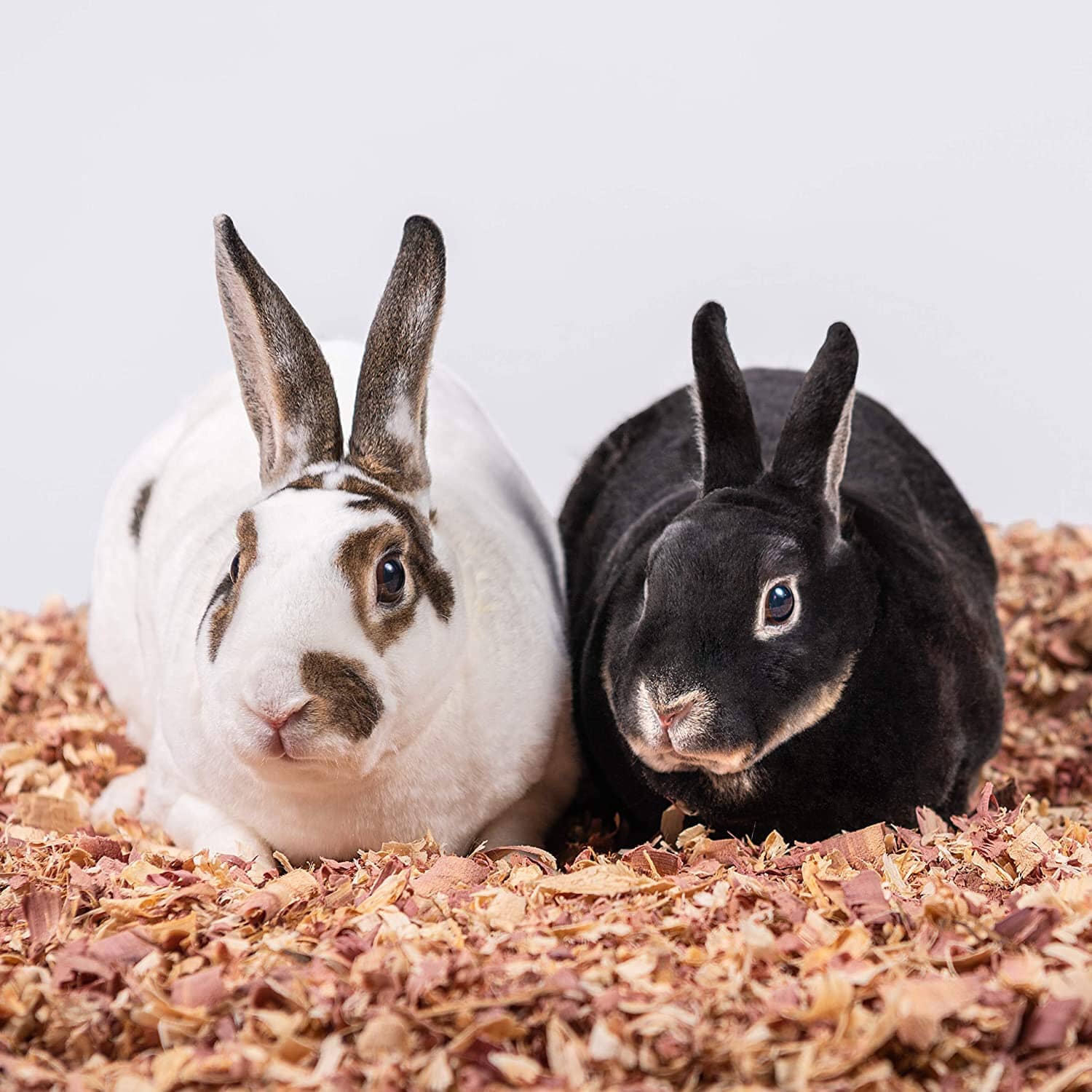 Pet's Pick Kiln Dried Red Cedar Bedding - Red Cedar - 24 L