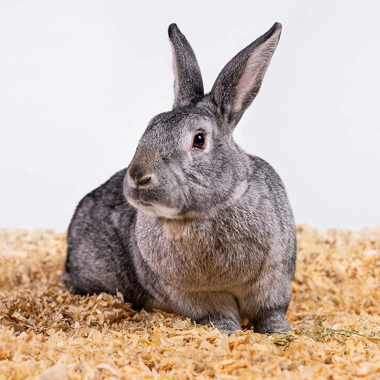 Pet's Pick Kiln Dried Soft Pine Bedding - Pine - 24 L