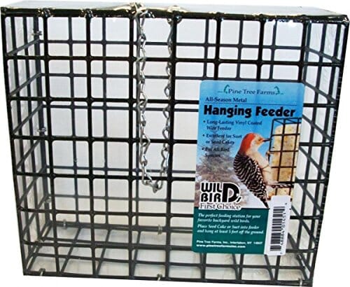 Pine Tree Farms Hanging Feeder for Large Seed & Suet Cake Suet and Seed Cake Wild Bird Feeder - Green