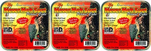 Pine Tree Farms Never Melt Suet Cake Wild Bird Food - Peanut - 13 Oz