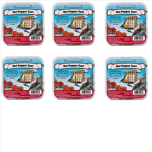 Pine Tree Farms Suet Cakes Wild Bird Food - Hot Pepper - 12 Oz
