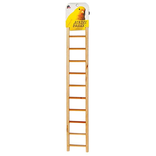 Prevue Hendryx 11-rung Bird Ladder