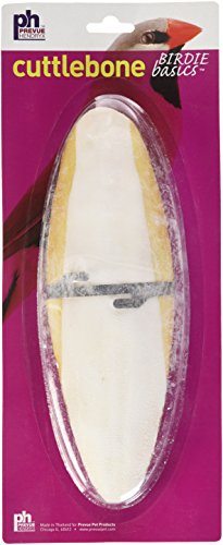Prevue Hendryx Birdie Basics - Cuttlebone - 8"