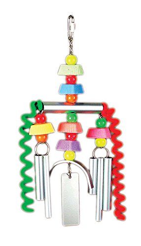 Prevue Hendryx Chime Time Monsoon - Multi-color
