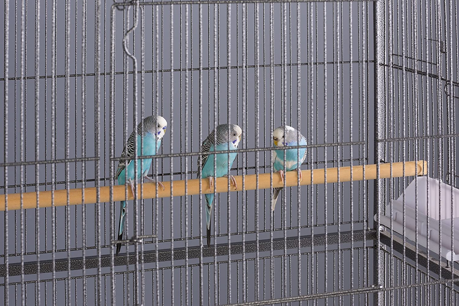 Prevue Hendryx Wrought Iron Flight Cage with Stand - Black - 31" x 20.5" x 53"