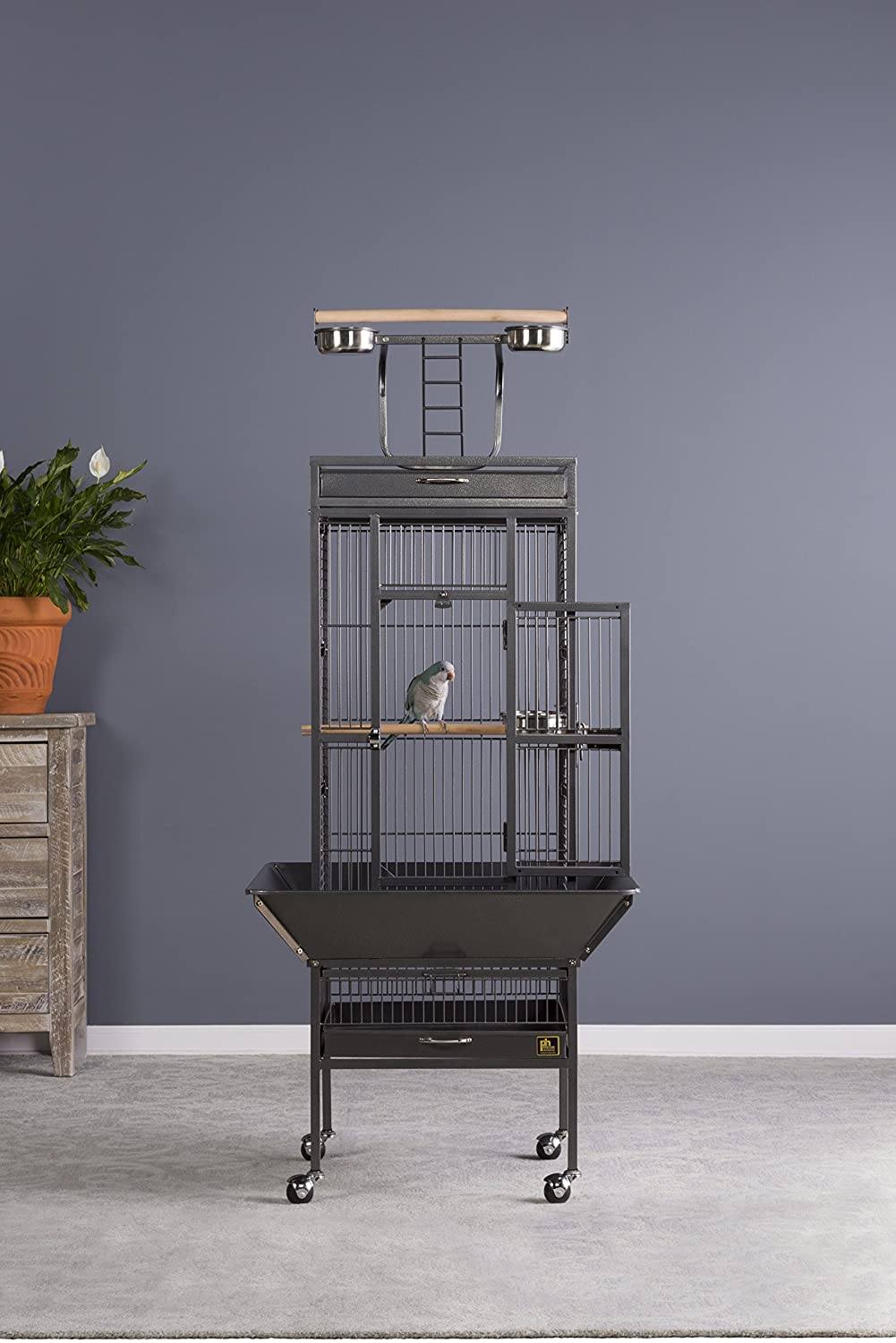 Prevue Hendryx Wrought Iron Select Bird Cage with Playtop - Black - 18" x 18" x 57"