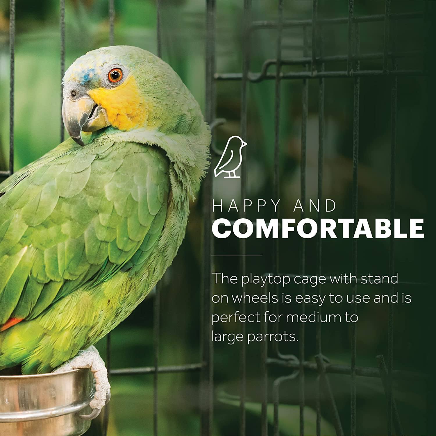 Prevue Hendryx Wrought Iron Select Bird Cage with Playtop - Black - 18" x 18" x 57"