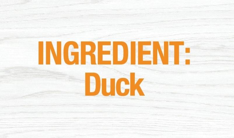 PureBites 100% Pure Duck Pate Cat Food Topper Treat