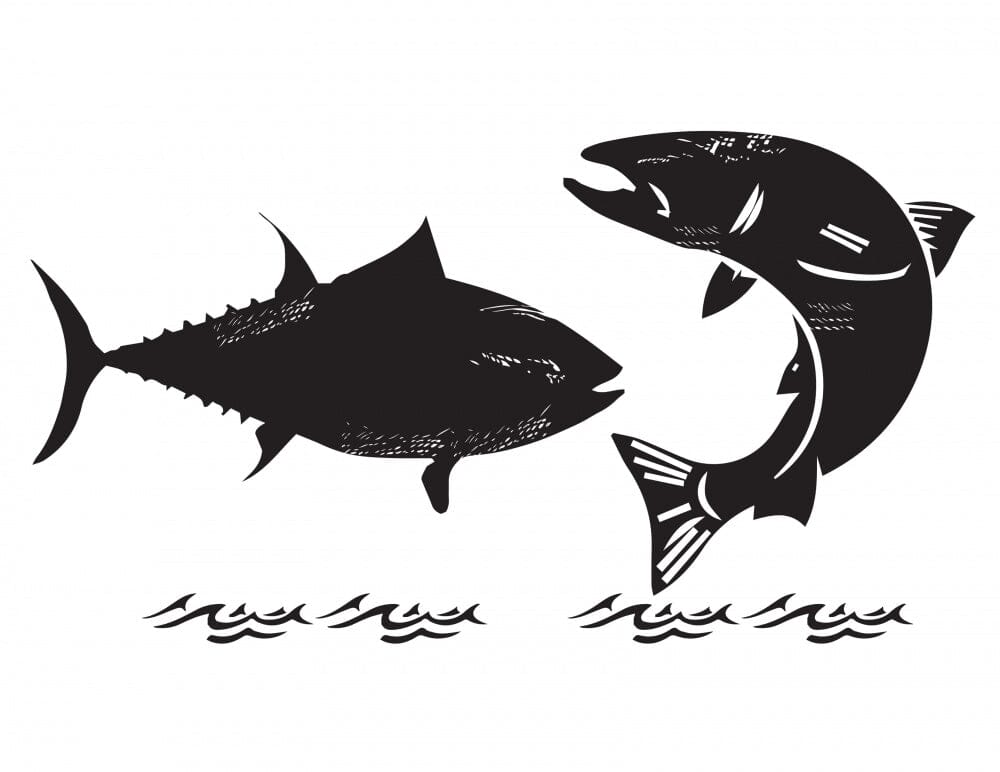 PureBites Mixers Wild Skipjack Tuna & Wild Alaskan Salmon in Water Cat Food Topper Treat