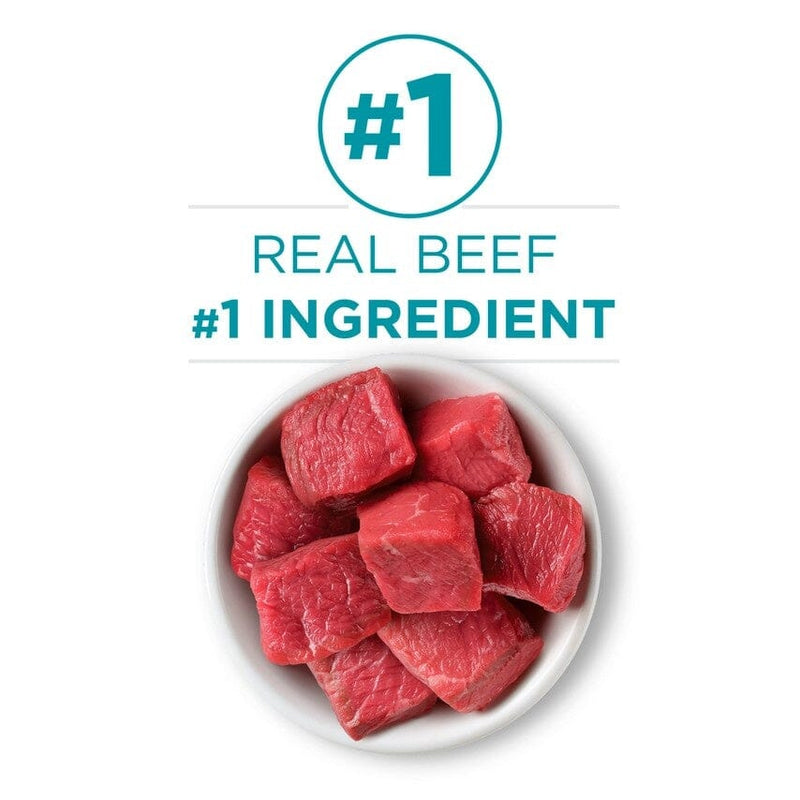 Purina ONE Grain Free Premium Pate Beef Canned Cat Food Pet Life