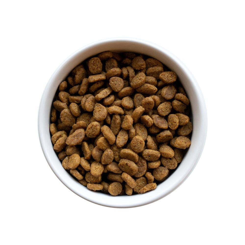 Purina Pro Plan LIVECLEAR High Protein Indoor Adult Indoor Formula Dry Cat Food