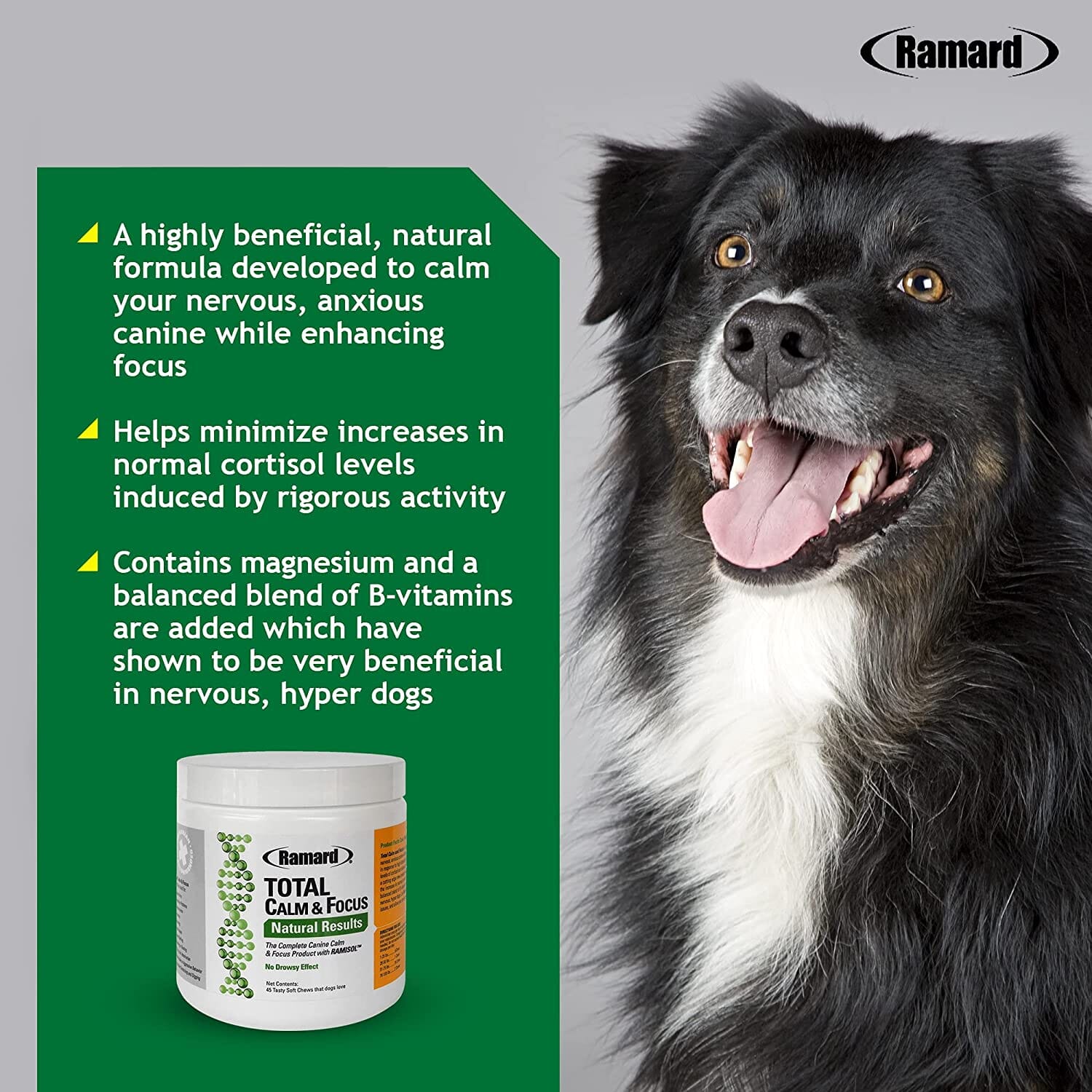 Ramard Ramard Total Calm & Focus Canine Supplements - Salmon - 45 Count