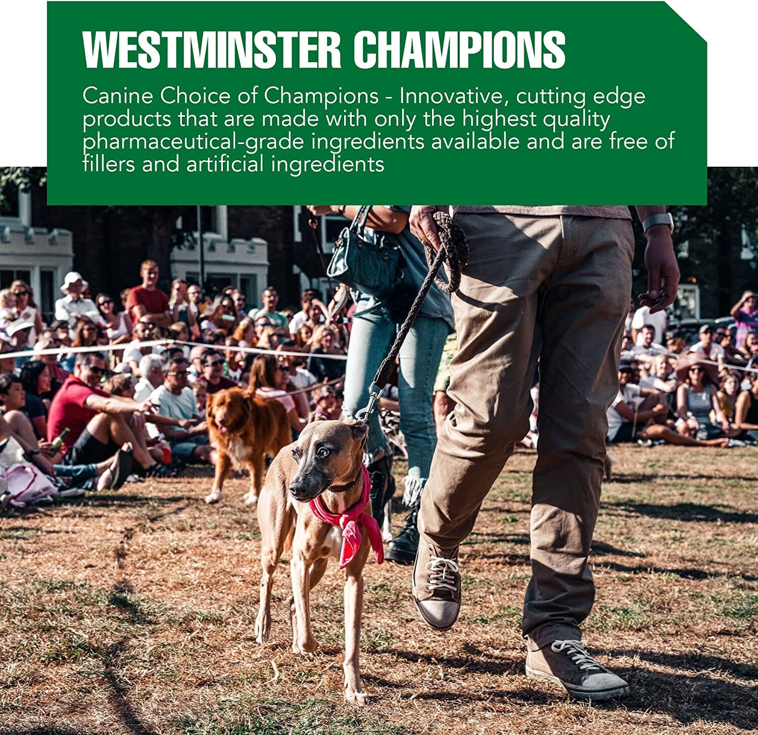 Ramard Ramard Total Canine Relief Natural Results Dog Joint Care - 45 Count