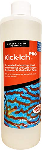 Ruby Reef Kick-Ich Pro - 16 fl oz