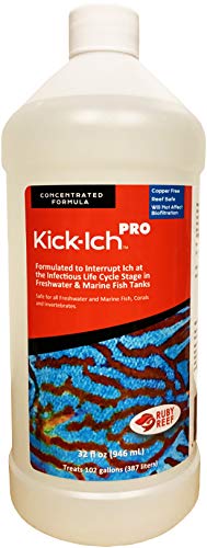 Ruby Reef Kick-Ich Pro - 32 fl oz