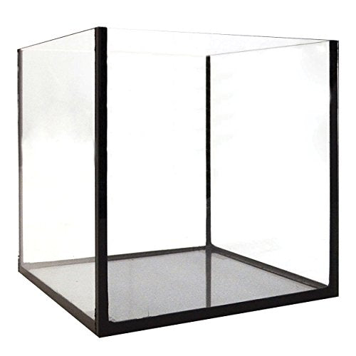Seapora Glass Canopy - 36" x 12"