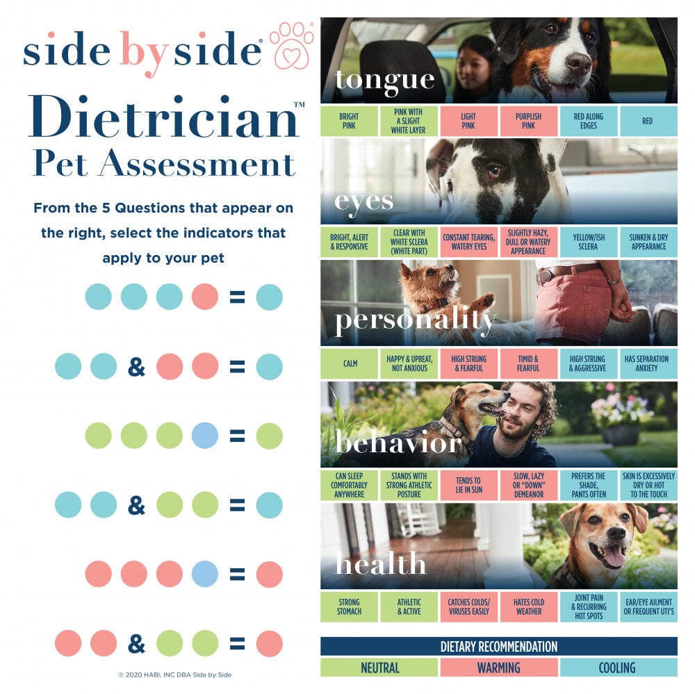 Side By Side Salmon & Sweet Potato Soft Chew Training Treats Neutral Treats for Dogs & Cats
