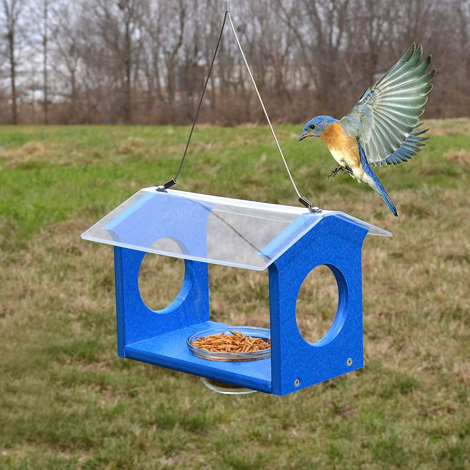 Songbird Essentials Bluebird Canteen Plastic Hopper Wild Bird Feeder - Blue - 7.5 X 10 X 17 In