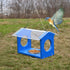 Songbird Essentials Bluebird Canteen Plastic Hopper Wild Bird Feeder - Blue - 7.5 X 10 X 17 In