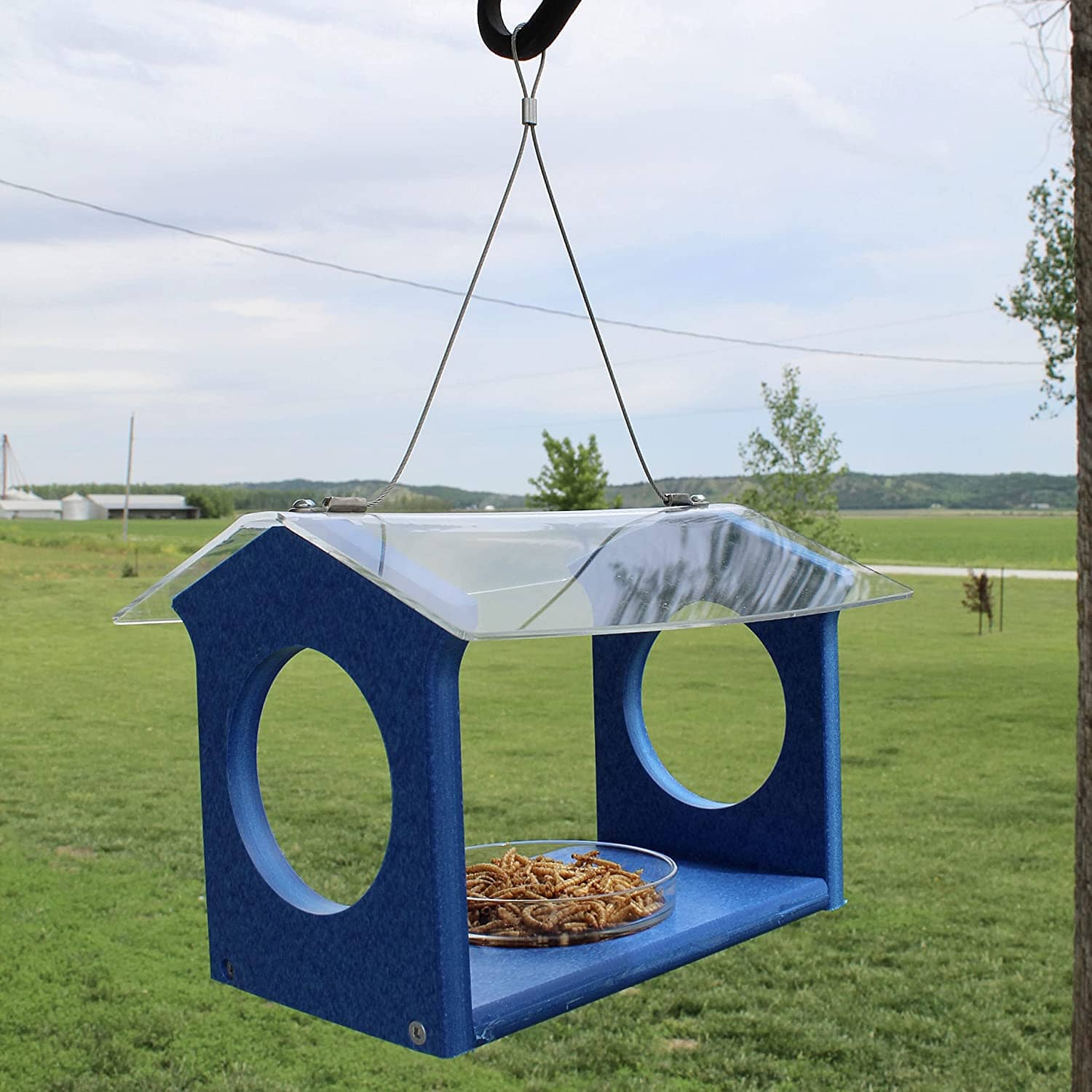 Songbird Essentials Bluebird Canteen Plastic Hopper Wild Bird Feeder - Blue - 7.5 X 10 X 17 In