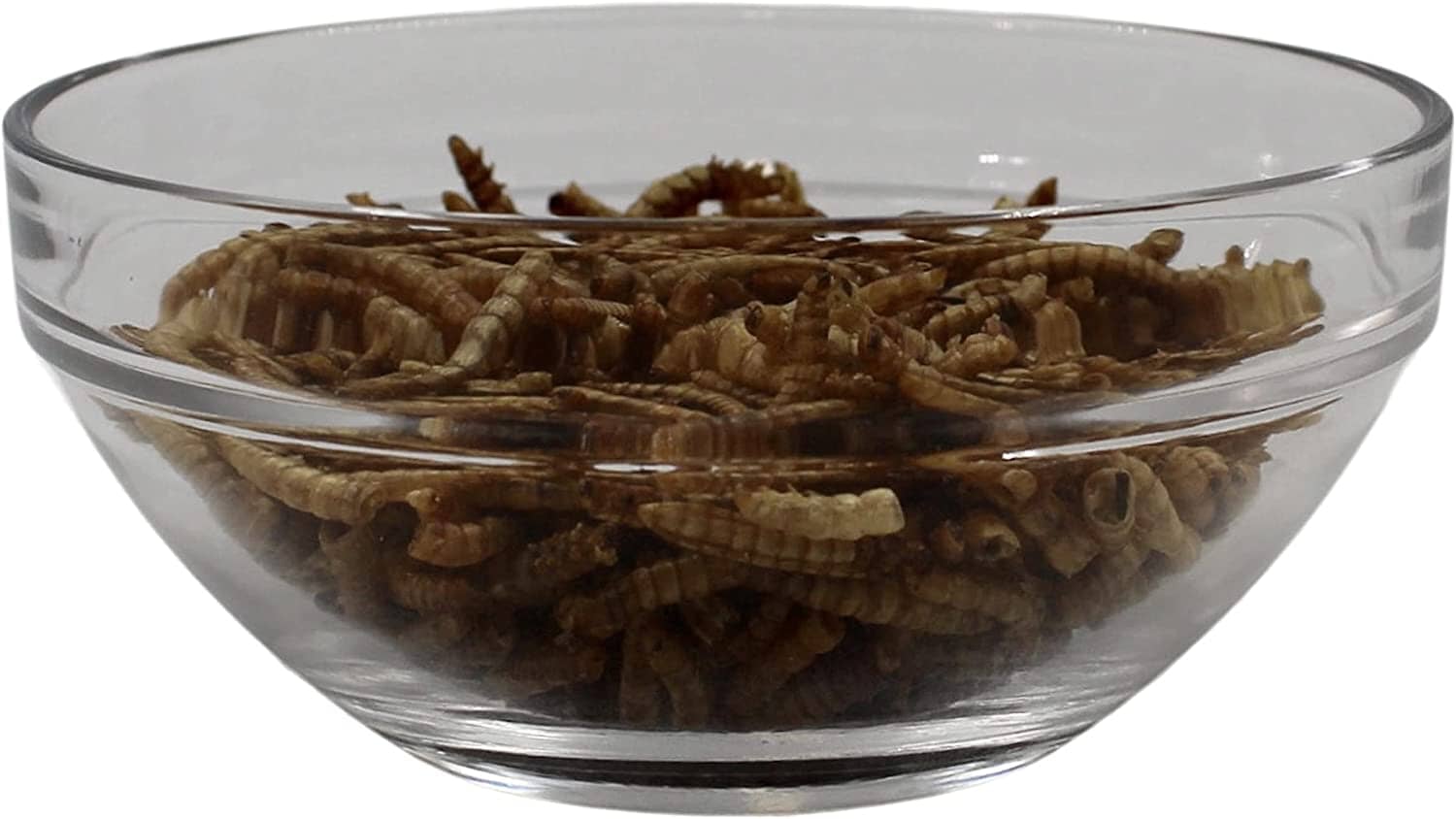 Songbird Essentials Bluebird Canteen Plastic Hopper Wild Bird Feeder - Blue - 7.5 X 10 X 17 In