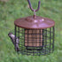 Squirrel-X Squirrel Proof Suet Feeder Suet and Seed Cake Wild Bird Feeder - Brown - Dbl