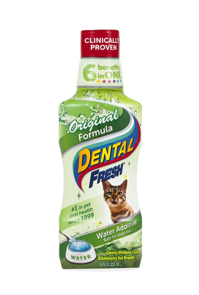 Synergy Labs Dental Fresh for Cats - 8 Fl. Oz