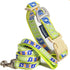 Touchdog 'Chain Printed' Tough Stitched Embroidered Collar and Leash