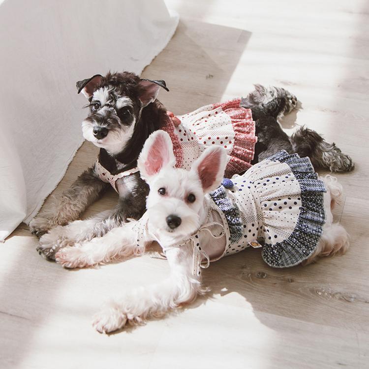 Touchdog Fetching Smock Designer Fashion Dog Dress
