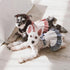 Touchdog Fetching Smock Designer Fashion Dog Dress