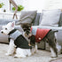 Touchdog 'Furrost-Bite' Fur and Fleece Designer Fashion Dog Jacket